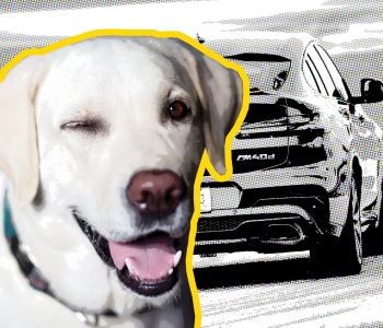 This Is The BMW X4 Review Your Dog Has Been Waiting For