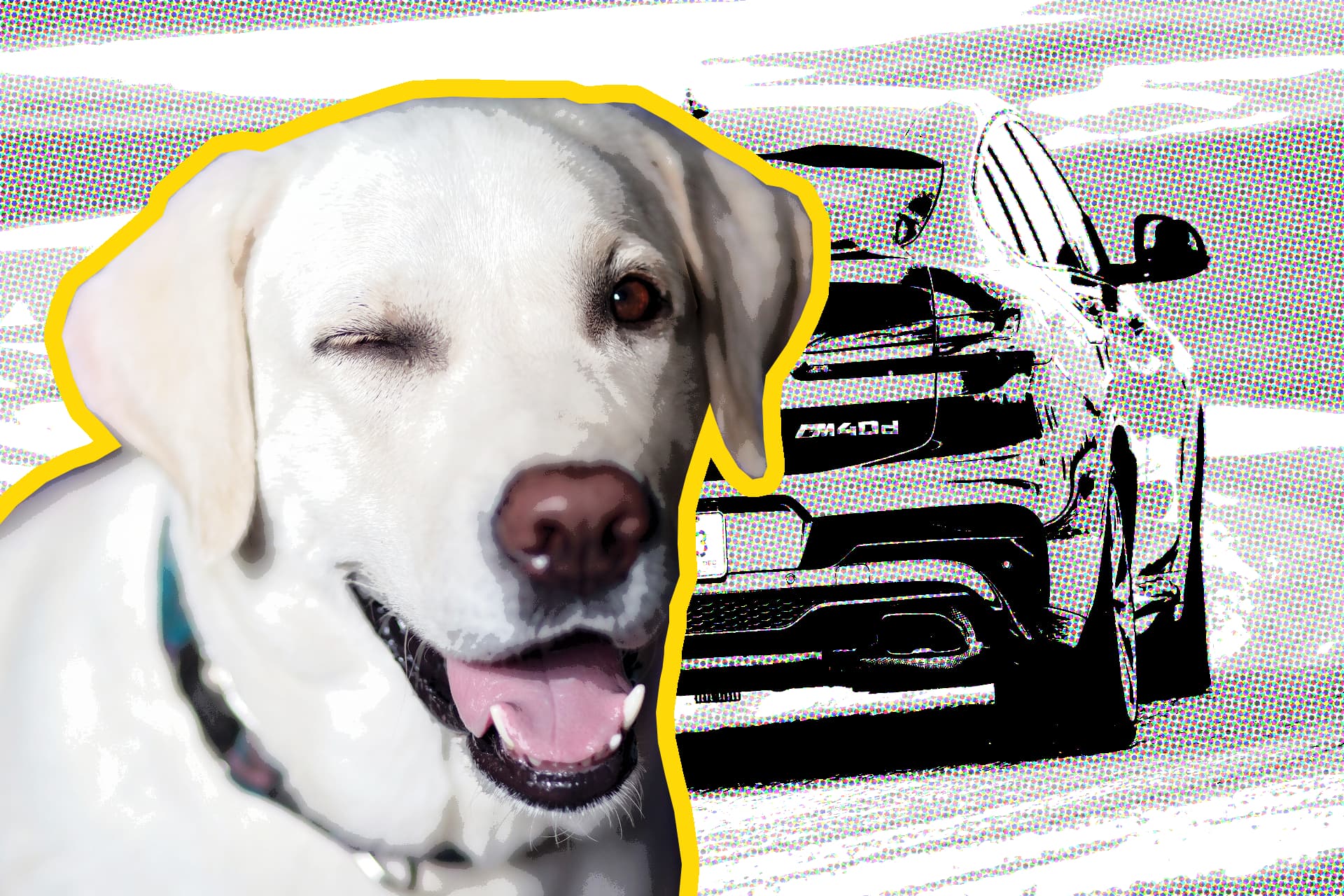 This Is The BMW X4 Review Your Dog Has Been Waiting For