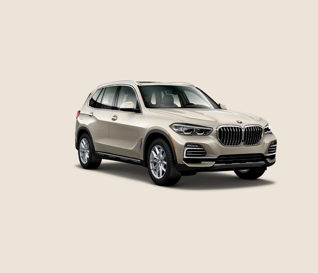 BMW X5 in Sunstone Metallic